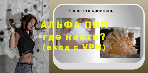 сатива Гусиноозёрск