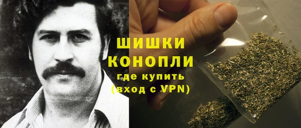 сатива Гусиноозёрск