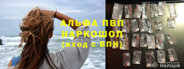 сатива Гусиноозёрск