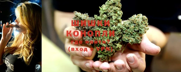 сатива Гусиноозёрск